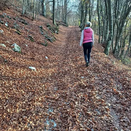 La Terrazza In Collina Bed & Breakfast 4*